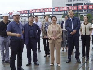湖南省商务厅曾海平一行来永利ylg官网环保调研