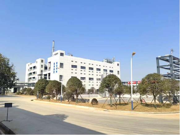市委书记王文华一行领导莅临永利ylg官网